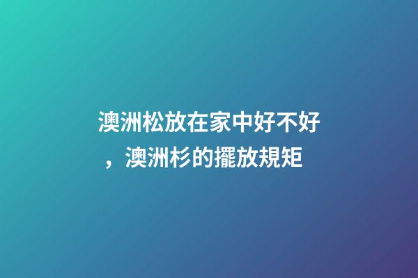 澳洲松放在家中好不好，澳洲杉的擺放規矩